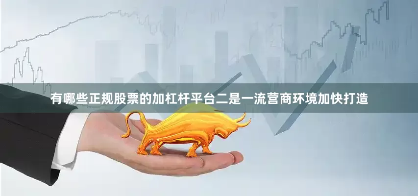 有哪些正规股票的加杠杆平台二是一流营商环境加快打造
